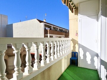 Apartamento de 3 dormitorios en Torrevieja para alquiler a largo plazo * in Ole International