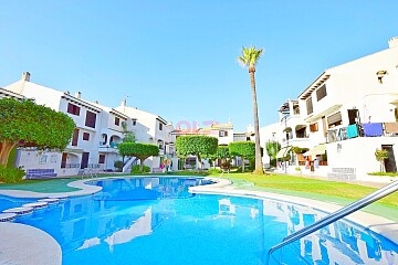 Apartment with 1 bedroom in Playa Flamenca in Ole International