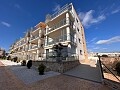 2 bedroom apartment in Villamartín  in Ole International