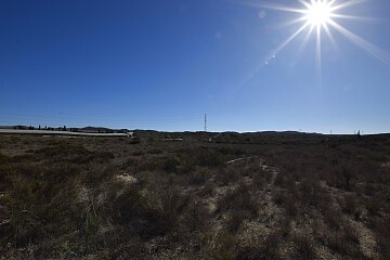 Groot bouwperceel van 25.000 m2 nabij San Miguel de Salinas   in Ole International