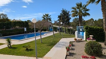 Studio met gemeenschappelijk zwembad in Torreblanca in Ole International