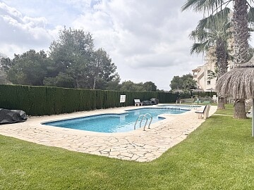 2 bedroom apartment in Ramblas Golf  in Ole International