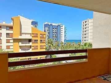 3-bedroom apartment in a private development near the sea  in Ole International